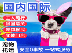 兴凯湖机场空运国际宠物托运 【国